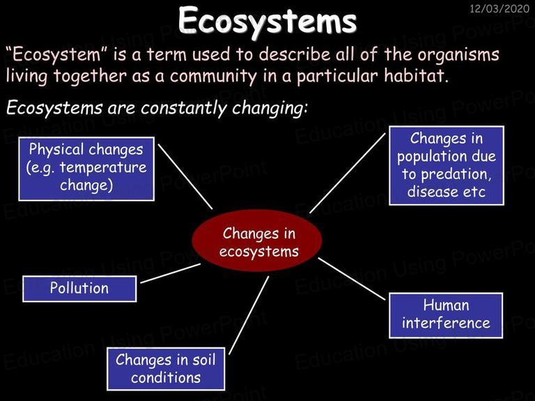 8D Ecological Relationships | Education Using Powerpoint